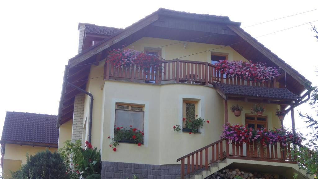 Apartman U Sarky Valaská Екстериор снимка